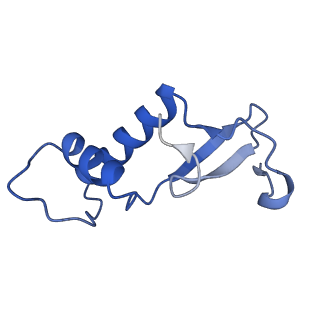 8771_5w5y_F_v1-4
RNA polymerase I Initial Transcribing Complex