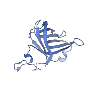 8771_5w5y_H_v1-4
RNA polymerase I Initial Transcribing Complex