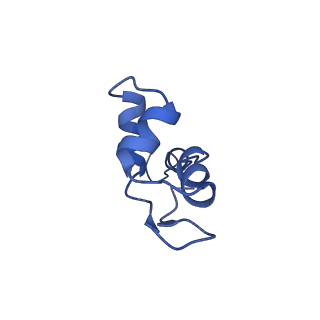 8771_5w5y_J_v1-4
RNA polymerase I Initial Transcribing Complex