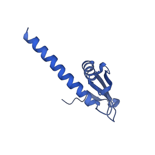 8771_5w5y_K_v1-4
RNA polymerase I Initial Transcribing Complex