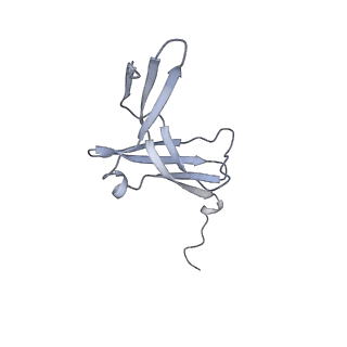 8771_5w5y_M_v1-4
RNA polymerase I Initial Transcribing Complex