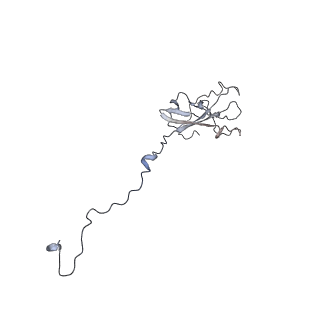 8771_5w5y_N_v1-4
RNA polymerase I Initial Transcribing Complex