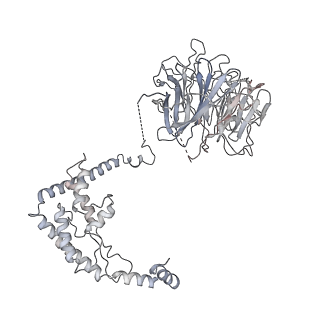 8771_5w5y_O_v1-4
RNA polymerase I Initial Transcribing Complex