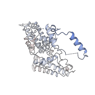 8771_5w5y_P_v1-4
RNA polymerase I Initial Transcribing Complex