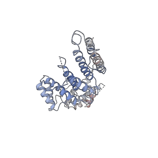 8771_5w5y_Q_v1-4
RNA polymerase I Initial Transcribing Complex