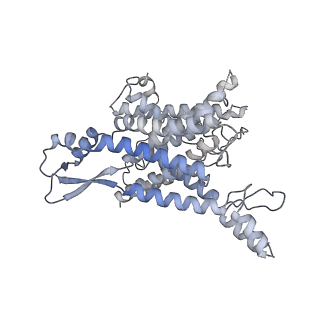 21435_6w6l_1_v1-0
Cryo-EM structure of the human ribosome-TMCO1 translocon