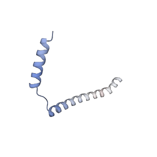 21435_6w6l_2_v1-0
Cryo-EM structure of the human ribosome-TMCO1 translocon