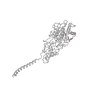 21435_6w6l_5_v1-0
Cryo-EM structure of the human ribosome-TMCO1 translocon
