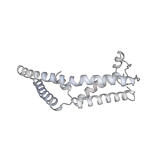 21435_6w6l_6_v1-0
Cryo-EM structure of the human ribosome-TMCO1 translocon