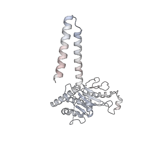 21435_6w6l_7_v1-0
Cryo-EM structure of the human ribosome-TMCO1 translocon