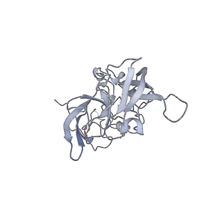 21435_6w6l_A_v1-0
Cryo-EM structure of the human ribosome-TMCO1 translocon