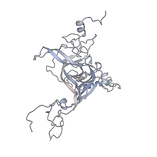 21435_6w6l_B_v1-0
Cryo-EM structure of the human ribosome-TMCO1 translocon