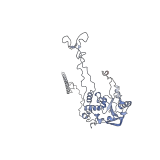 21435_6w6l_C_v1-0
Cryo-EM structure of the human ribosome-TMCO1 translocon