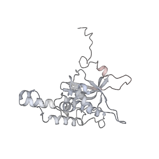 21435_6w6l_F_v1-0
Cryo-EM structure of the human ribosome-TMCO1 translocon