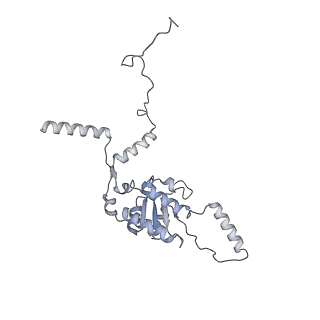 21435_6w6l_I_v1-0
Cryo-EM structure of the human ribosome-TMCO1 translocon
