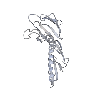 21435_6w6l_J_v1-0
Cryo-EM structure of the human ribosome-TMCO1 translocon