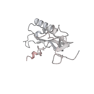 21435_6w6l_K_v1-0
Cryo-EM structure of the human ribosome-TMCO1 translocon