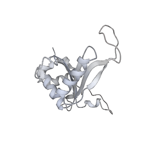21435_6w6l_L_v1-0
Cryo-EM structure of the human ribosome-TMCO1 translocon