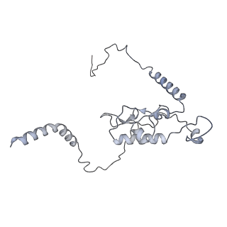 21435_6w6l_M_v1-0
Cryo-EM structure of the human ribosome-TMCO1 translocon