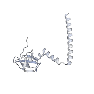 21435_6w6l_N_v1-0
Cryo-EM structure of the human ribosome-TMCO1 translocon