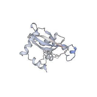 21435_6w6l_O_v1-0
Cryo-EM structure of the human ribosome-TMCO1 translocon