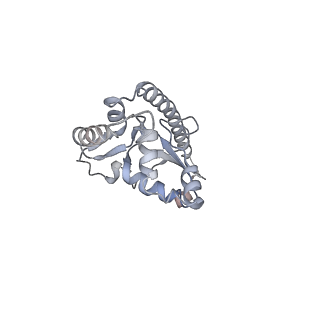 21435_6w6l_P_v1-0
Cryo-EM structure of the human ribosome-TMCO1 translocon