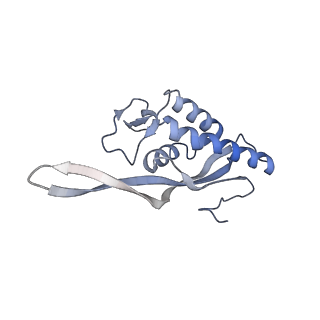 21435_6w6l_Q_v1-0
Cryo-EM structure of the human ribosome-TMCO1 translocon