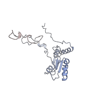 21435_6w6l_R_v1-0
Cryo-EM structure of the human ribosome-TMCO1 translocon