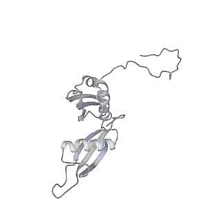 21435_6w6l_T_v1-0
Cryo-EM structure of the human ribosome-TMCO1 translocon