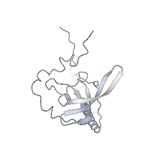 21435_6w6l_U_v1-0
Cryo-EM structure of the human ribosome-TMCO1 translocon