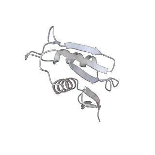 21435_6w6l_V_v1-0
Cryo-EM structure of the human ribosome-TMCO1 translocon