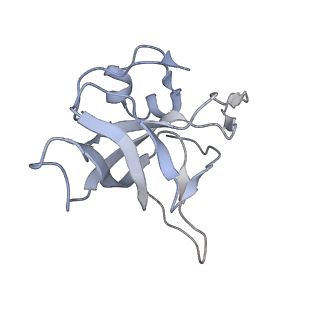 21435_6w6l_W_v1-0
Cryo-EM structure of the human ribosome-TMCO1 translocon