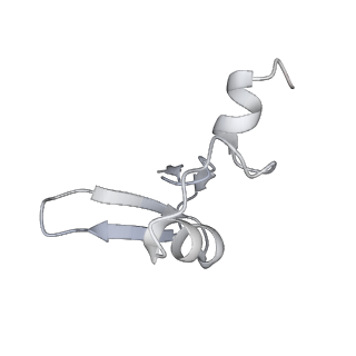 21435_6w6l_X_v1-0
Cryo-EM structure of the human ribosome-TMCO1 translocon