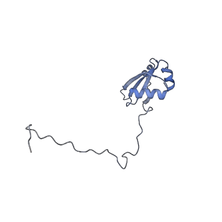 21435_6w6l_Y_v1-0
Cryo-EM structure of the human ribosome-TMCO1 translocon