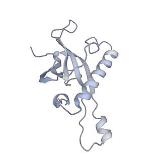 21435_6w6l_a_v1-0
Cryo-EM structure of the human ribosome-TMCO1 translocon