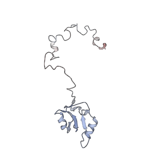 21435_6w6l_b_v1-0
Cryo-EM structure of the human ribosome-TMCO1 translocon