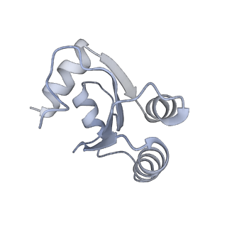 21435_6w6l_d_v1-0
Cryo-EM structure of the human ribosome-TMCO1 translocon