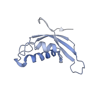 21435_6w6l_e_v1-0
Cryo-EM structure of the human ribosome-TMCO1 translocon