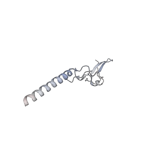 21435_6w6l_h_v1-0
Cryo-EM structure of the human ribosome-TMCO1 translocon