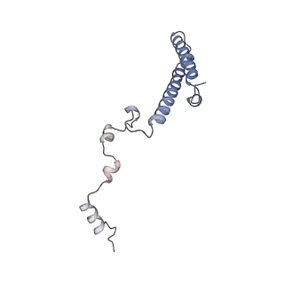 21435_6w6l_i_v1-0
Cryo-EM structure of the human ribosome-TMCO1 translocon