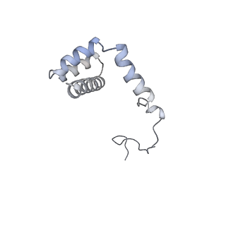 21435_6w6l_j_v1-0
Cryo-EM structure of the human ribosome-TMCO1 translocon