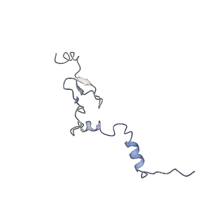21435_6w6l_k_v1-0
Cryo-EM structure of the human ribosome-TMCO1 translocon