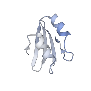 21435_6w6l_l_v1-0
Cryo-EM structure of the human ribosome-TMCO1 translocon
