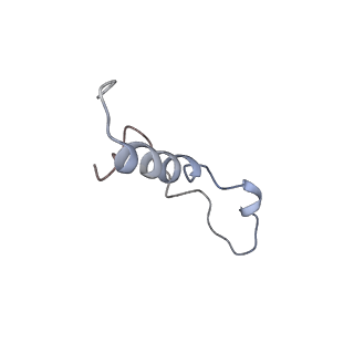 21435_6w6l_m_v1-0
Cryo-EM structure of the human ribosome-TMCO1 translocon