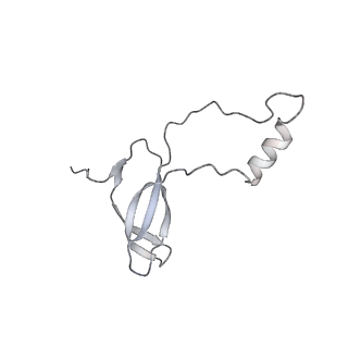 21435_6w6l_p_v1-0
Cryo-EM structure of the human ribosome-TMCO1 translocon