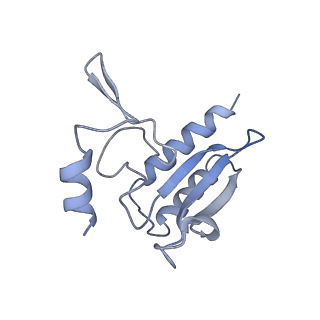 21435_6w6l_r_v1-0
Cryo-EM structure of the human ribosome-TMCO1 translocon