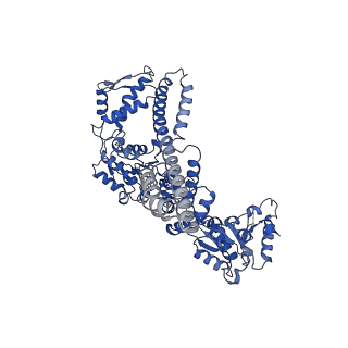 21553_6w6e_A_v1-1
The Mycobacterium tuberculosis ClpB disaggregase hexamer structure with a locally refined ClpB middle domain and a DnaK nucleotide binding domain