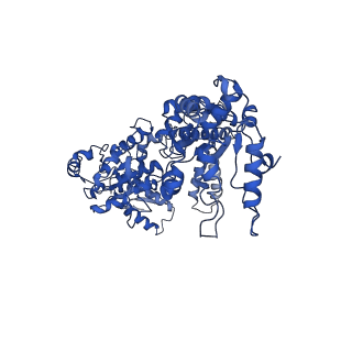 21553_6w6e_C_v1-1
The Mycobacterium tuberculosis ClpB disaggregase hexamer structure with a locally refined ClpB middle domain and a DnaK nucleotide binding domain