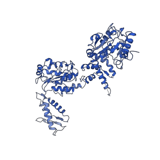 21553_6w6e_D_v1-1
The Mycobacterium tuberculosis ClpB disaggregase hexamer structure with a locally refined ClpB middle domain and a DnaK nucleotide binding domain