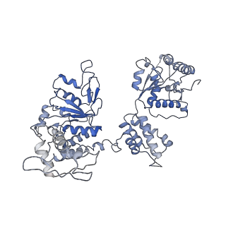 21553_6w6e_E_v1-1
The Mycobacterium tuberculosis ClpB disaggregase hexamer structure with a locally refined ClpB middle domain and a DnaK nucleotide binding domain